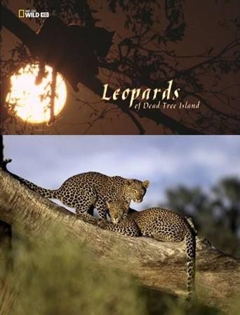 National Geographic: Леопарды дельты Окаванго - (National Geographic: Leopards of Dead Tree Island)