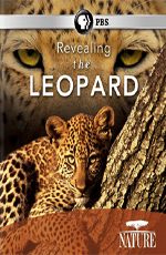 PBS Nature:    - (PBS Nature: Revealing the Leopard)