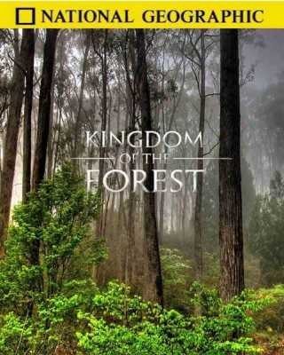 National Geographic.   - (Kingdom of the Forest)