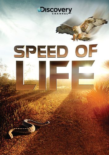 Discovery:   - (Speed of Life)