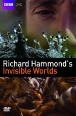 BBC:   - (Richard Hammond's Invisible Worlds)