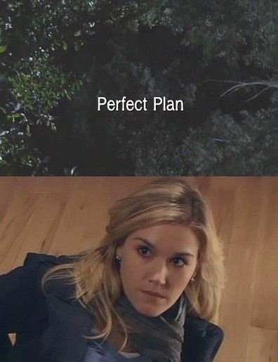   - (Perfect Plan)