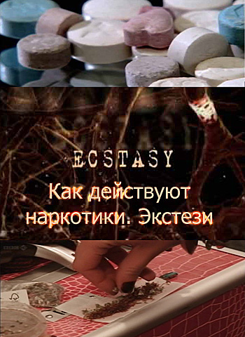 ВВС: Как действуют наркотики: Экстези - (How drugs work: Ecstasy)