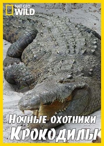 National Geographic:  .  - (National Geographic: Nightstalkers. Crocodiles)