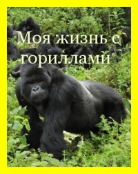 National Geographic: Моя жизнь с гориллами - (My Gorilla Life)