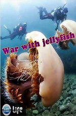    - (War with jellyfish)