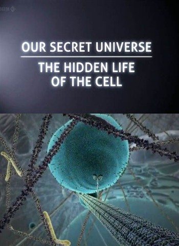  :    - (Secret Universe: The Hidden Life of the Cell)