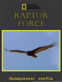 Сила хищных птиц - Raptor Force