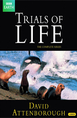 BBC. Борьба за выживание - BBC. The Trials of Life