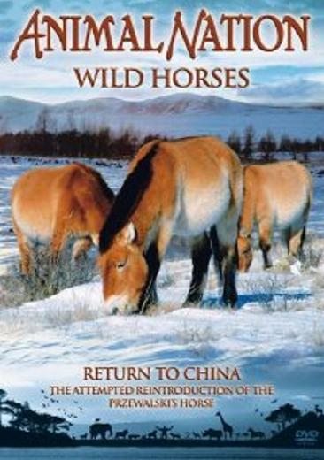  :    - Wild Horses- Return to China