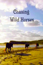 Вслед за дикими лошадьми - Chasing wild horses