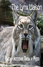 -     - The Lynx Liaison