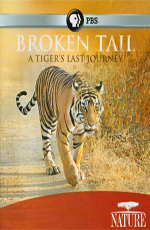  :    - Nature - Broken Tail- A Tiger's Last Journey