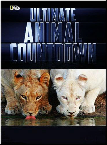 National Geographic : - - National Geographic- Ultimate Animal Countdown