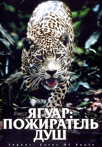 :   - Jaguar- Eater of Souls