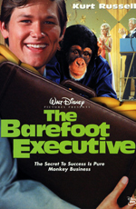   - The Barefoot Executive