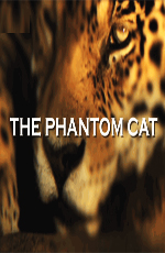 National Geographic:   - The Phantom Cat