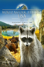 Nat Geo Wild:    .   - Yellowstone Battleground. Grizzly Cauldron