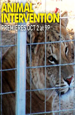 Nat Geo Wild:    - Animal Intervention