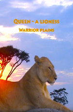  - .   - Queen - a lioness. Warrior plains