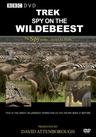 Дикая природа: шпион среди антилоп гну - Trek- Spy on the Wildebeest