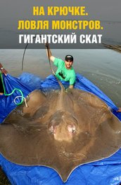 На крючке: Ловля монстров. Гигантский скат - National Geografic- Monster Fish. Giant Stingra