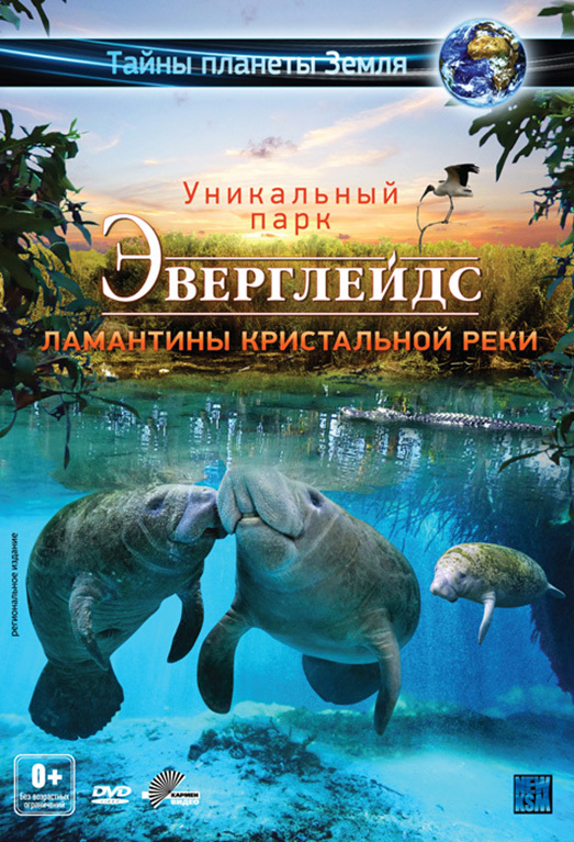 Эверглейдс: Ламантины Кристальной реки - Adventure Everglades- The Manatees of Crystal River