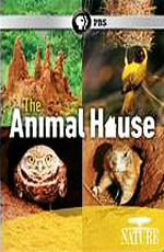 PBS:  -   - PBS- Nature - The Animal House