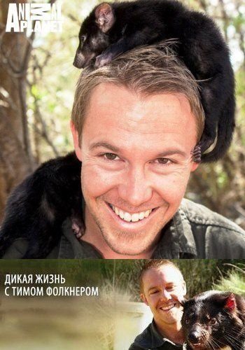 Дикая жизнь с Тимом Фолкнером - The Wild Life of Tim Faulkner