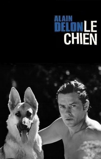 ϸ - Le Chien