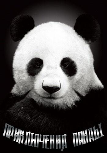 Приключения панды - Panda Andventure