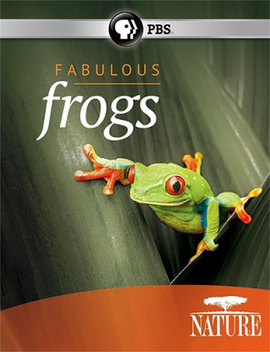   - Fabulous Frogs