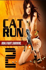    2 - Cat Run 2