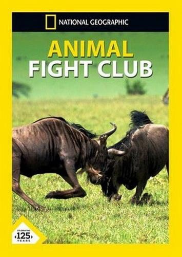     - Animal Fight Club