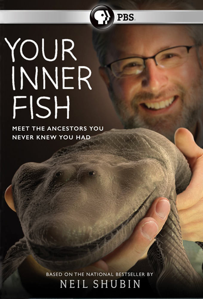   - Your Inner Fish
