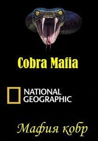   - Cobra Mafia