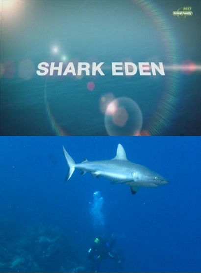   - Shark Eden