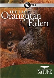    - The Last Orangutan Eden