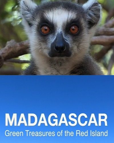 .     - Madagascar. Green Treasure of the Red island