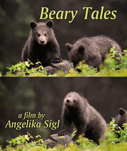   - Beary Tales