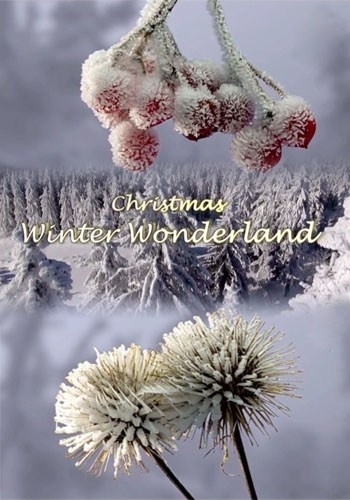    - Christmas Winter Wonderland