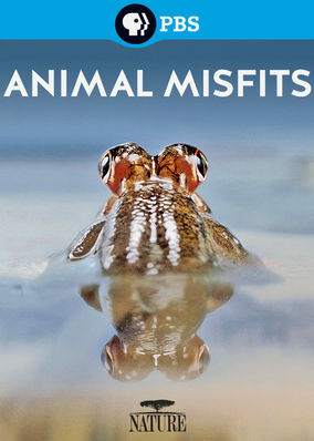   - Animal Misfits