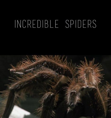   - Incredible Spiders