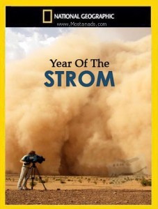 Штормовой год - Year Of The Storm