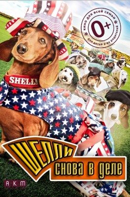 Шелли снова в деле - Wiener Dog Internationals