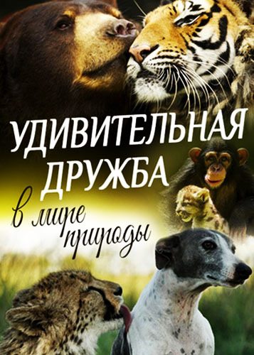 Удивительная дружба в мире природы - World's oddest animal couples