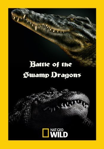    - Battle of the Swamp Dragons