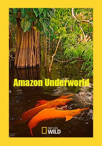   - Amazon Underworld
