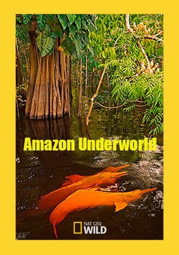 Скрытый мир Амазонки - Amazon Underworld