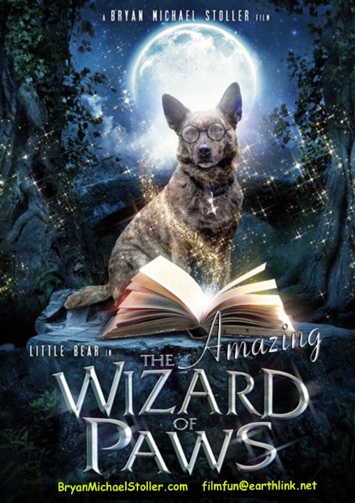 Удивительный волшебник из Лапы - The Amazing Wizard of Paws